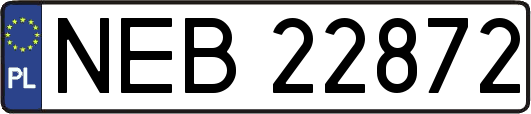 NEB22872