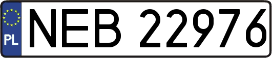 NEB22976