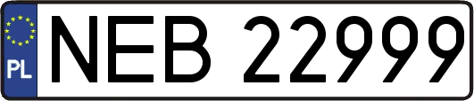 NEB22999
