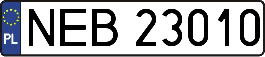 NEB23010