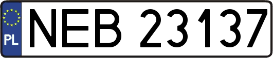 NEB23137