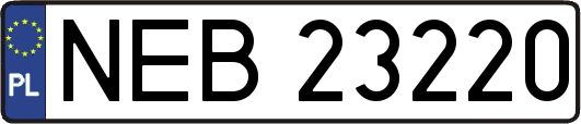 NEB23220