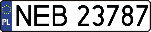 NEB23787