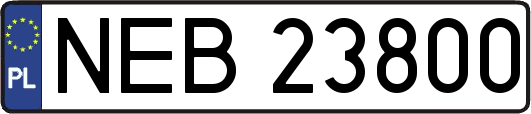 NEB23800