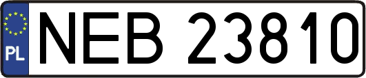 NEB23810