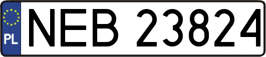 NEB23824