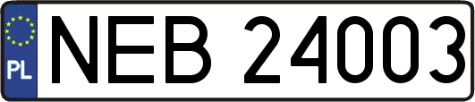 NEB24003