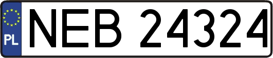 NEB24324