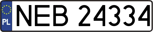 NEB24334