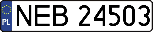 NEB24503