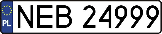 NEB24999