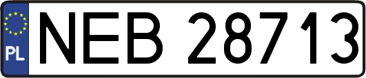 NEB28713