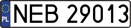 NEB29013