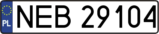 NEB29104