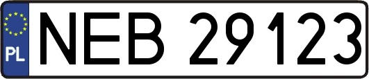 NEB29123