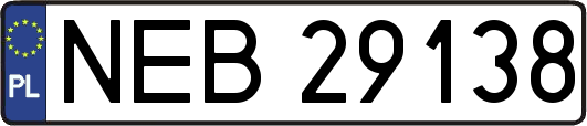 NEB29138