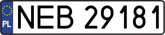 NEB29181