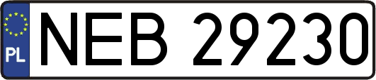 NEB29230