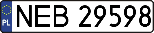 NEB29598