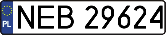 NEB29624