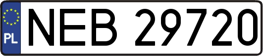 NEB29720
