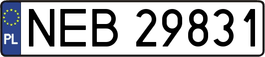 NEB29831