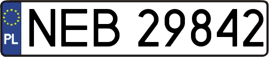 NEB29842