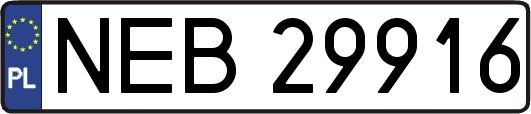 NEB29916