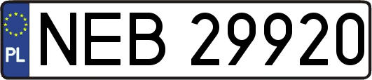 NEB29920