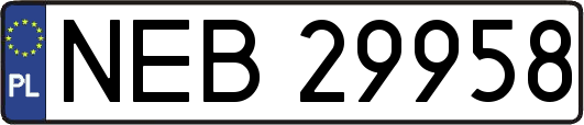 NEB29958