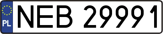 NEB29991