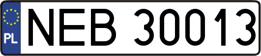 NEB30013