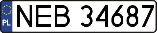 NEB34687