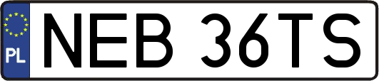 NEB36TS