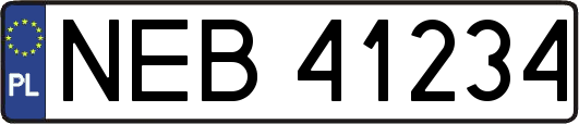 NEB41234