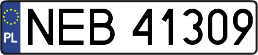 NEB41309