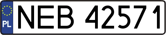 NEB42571