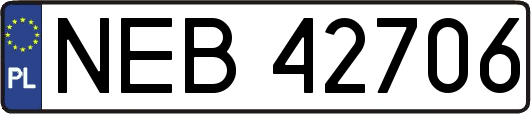NEB42706