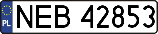 NEB42853