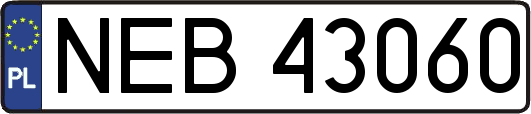 NEB43060