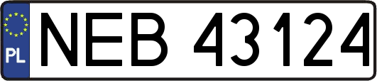 NEB43124