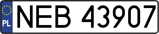 NEB43907