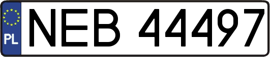 NEB44497