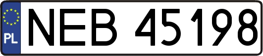 NEB45198