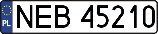 NEB45210