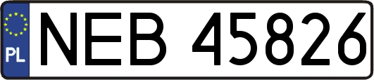 NEB45826