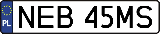 NEB45MS