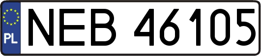 NEB46105