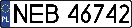 NEB46742