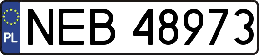 NEB48973